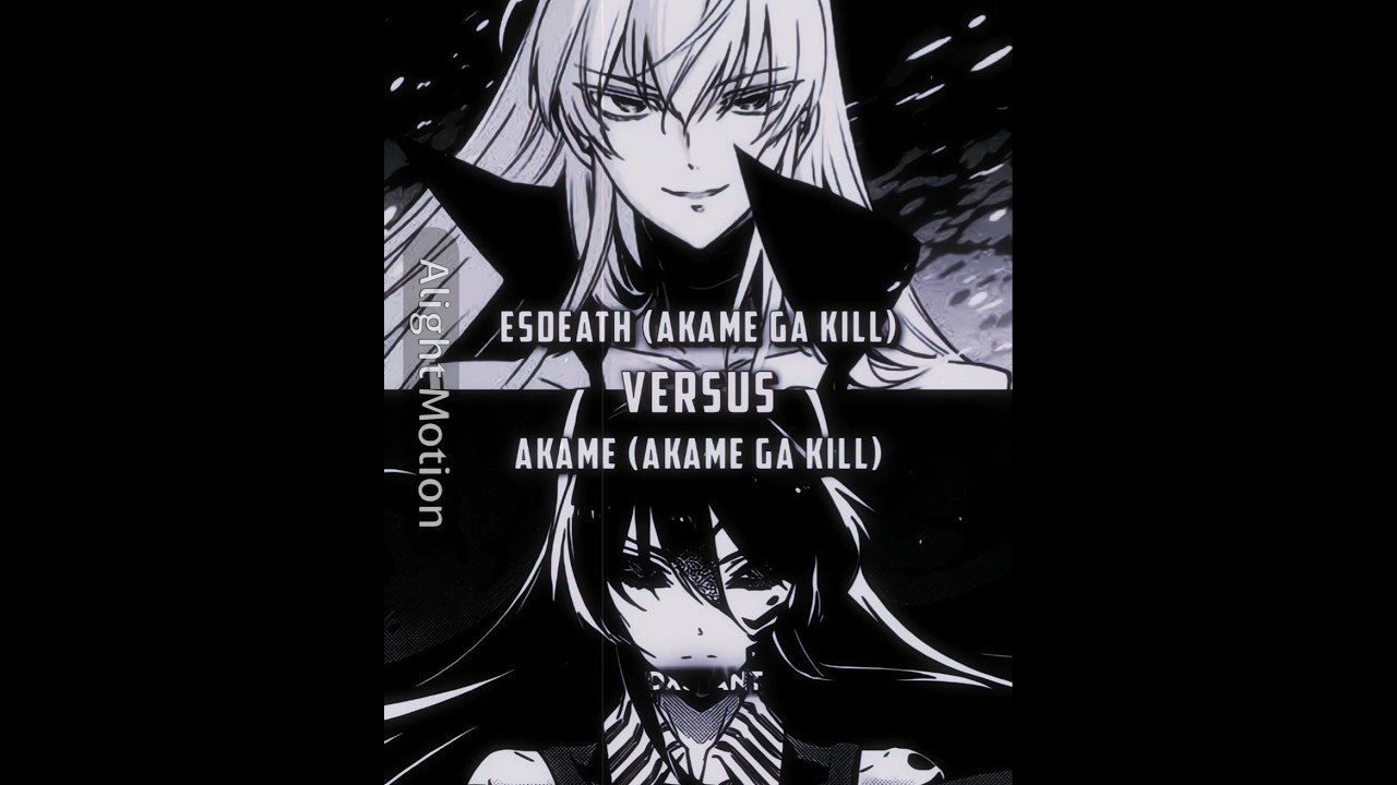 Akame Vs Esdeath