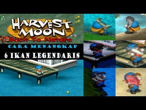cara-menangkap-6-ikan-legendaris-di-harvest-moon-back-to-nature