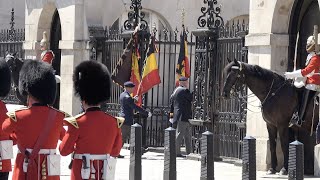 Belgian Cenotaph Parade: London 2022.