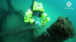 Guardian Sea Class Underwater Robotic Arm System: Dexterous underwater manipulation