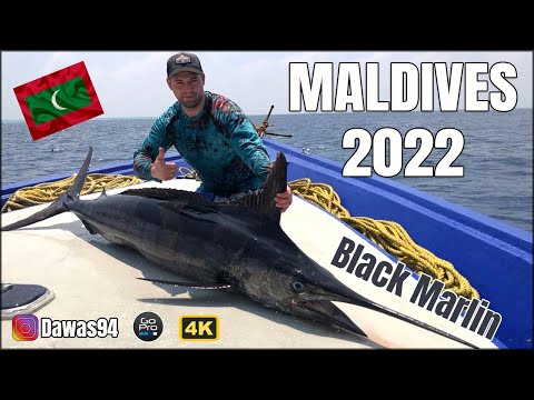 Fishing in Maldives ( 2022 ) 