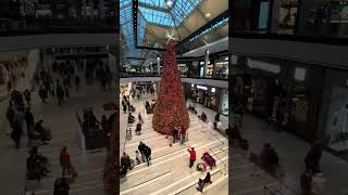 Fairview Christmas Tree 2025