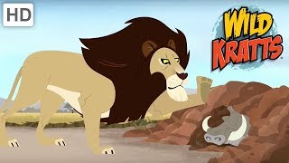 Wild Kratts  Animals You Shouldn't Mess With | Kids Videos