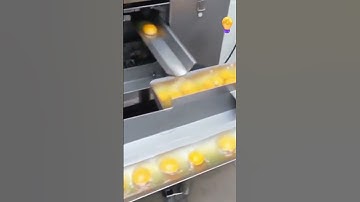 🥚Egg Factory | Egg Processing Machine | Automatic Processing & Packing Line |Egg Separation #shorts