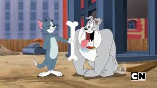Мульт Tom and Jerry Tales S01 Ep11 Fraidy Cat Scat Screen 10