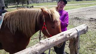 Miss Shirley On The Farm, April 2020