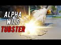 Aniimo BETA – First Alpha Battle Gameplay! Level 11 vs Level 18 | TOO WEAK TO CATCH?! WHAT?!