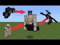 I Became the WITHER GOLEM DRAGON