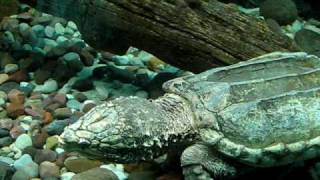 MVI_0341.AVI