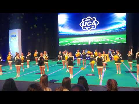 Disney cheer