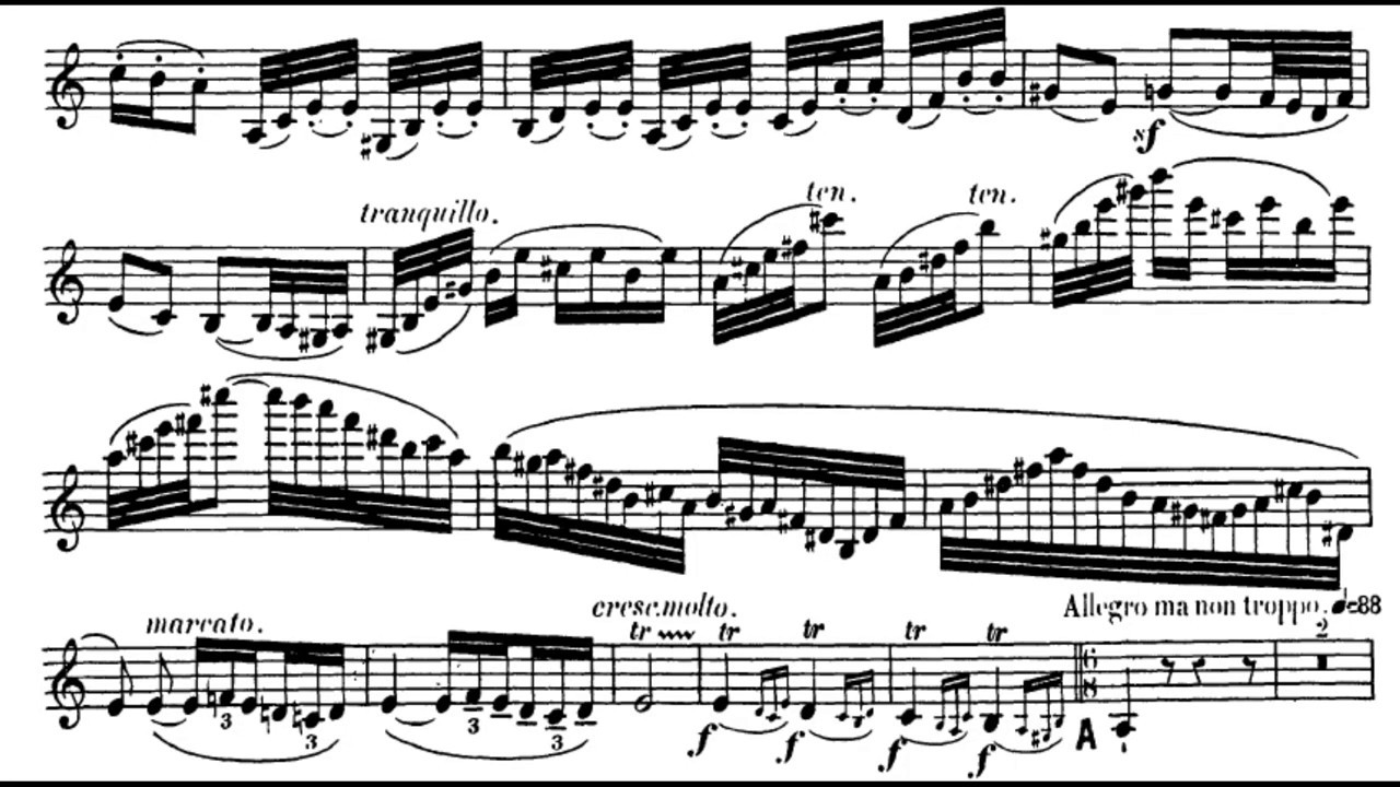 Saint-Saëns : Introduction et Rondo Capriccioso | Violin and Piano