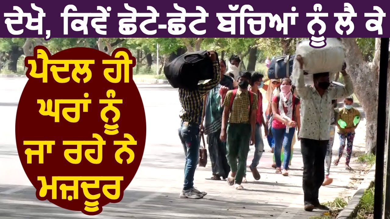 छोटे-छोटे बच्चों को लेकर पैदल ही Chandigarh से Hardoi के लिए निकले मजदूर, सुनें दर्द