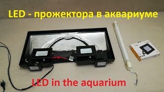 LED - прожектор в аквариуме-травнике. LED in the aquarium