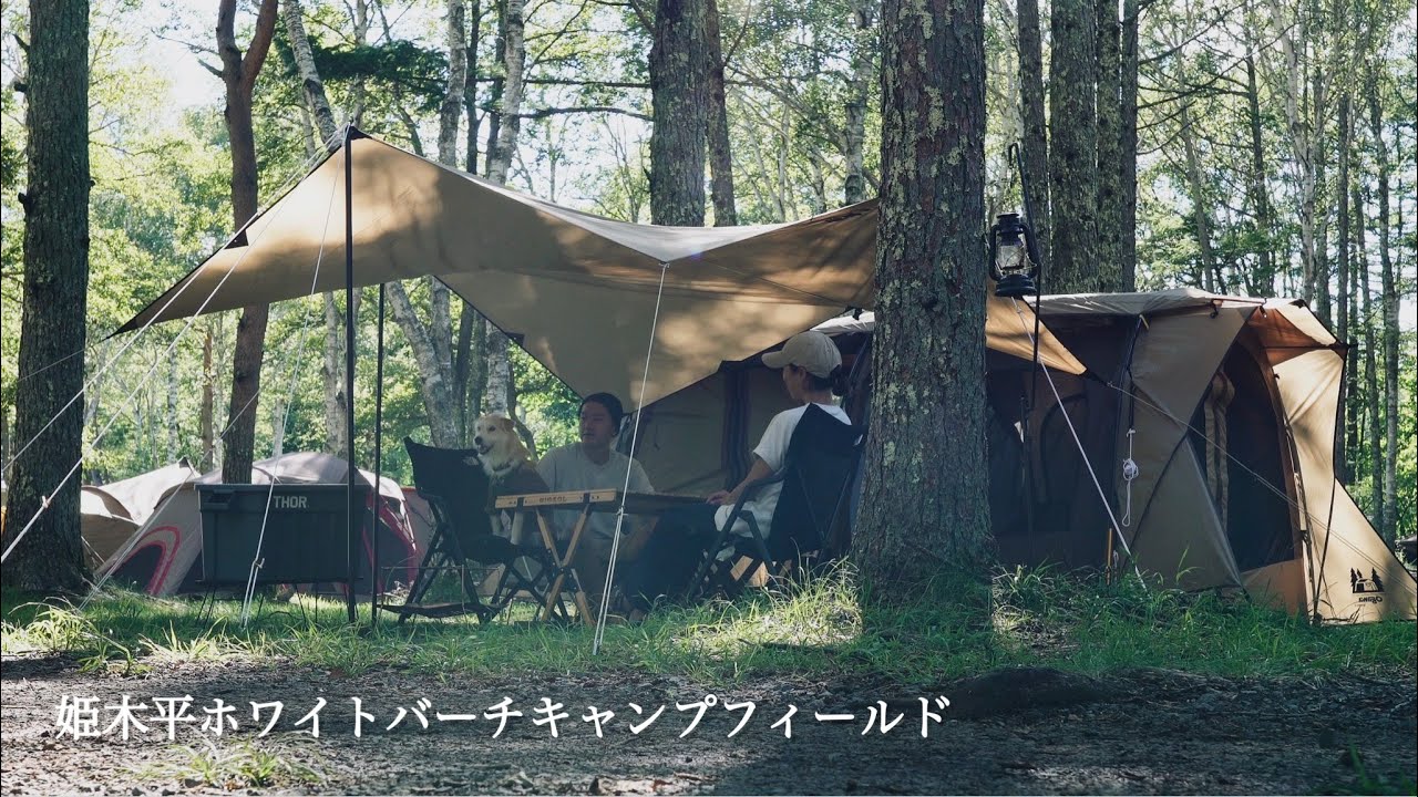 癒しの森で愛犬とキャンプ｜姫木平ホワイトバーチキャンプフィールド