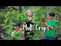 Multi crops collecting for special cook | Bitter gourd growing | Fresh multi crops in my village