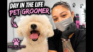 A Real Day Inside My Dog Grooming Salon 🐾