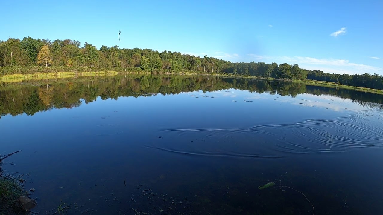 Bass fishing