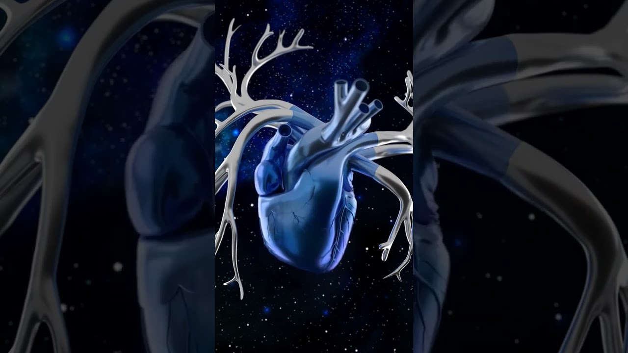 Stylized Heart Animation, YouTube Shorts,Heart Animation, Medical Animation