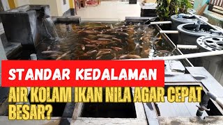 KEDALAMAN IDEAL KOLAM IKAN NILA DAN TIPS CARA MENENTUKANNYA @vilafish