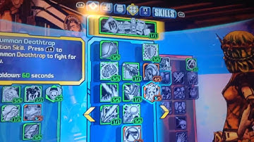 Borderlands 2 mechromancer build