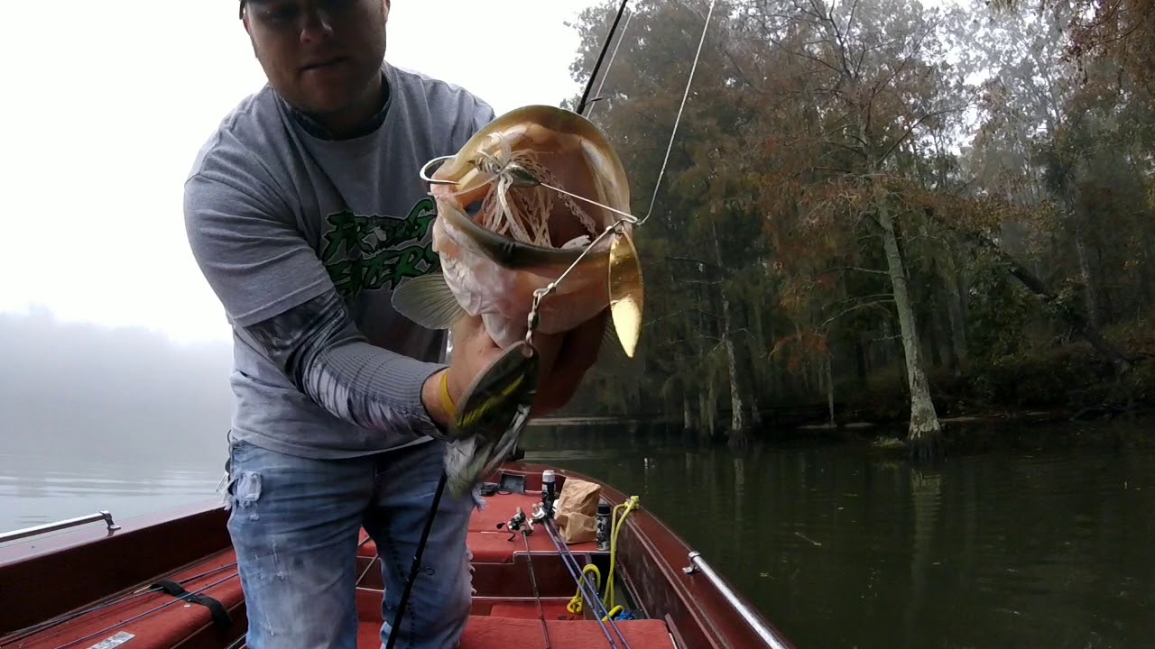 November(2018) Bass Fishing on Santee Cooper! BIG BASS! YouTube