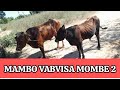 GOKWE NEMANGWE UPDATE BABA VEMUFI JOE VOTAURA ZVEMOMBE 