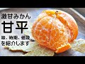 甘平（みかん）の味や旬の時期などを紹介します