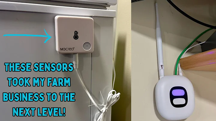 Mocreo Freezer Temp Sensor with ST5 Sensor Review | Never worry about losing your frozen food again!