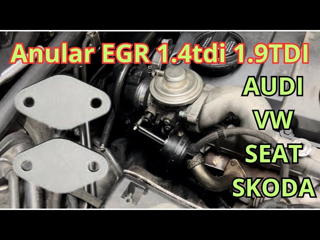 Tuto] - Suppression vanne EGR 1.9 TDI - A4 B6 / A4 B6 Cabriolet - (2001 à  2004) - AudiPassion [4Legend.com]