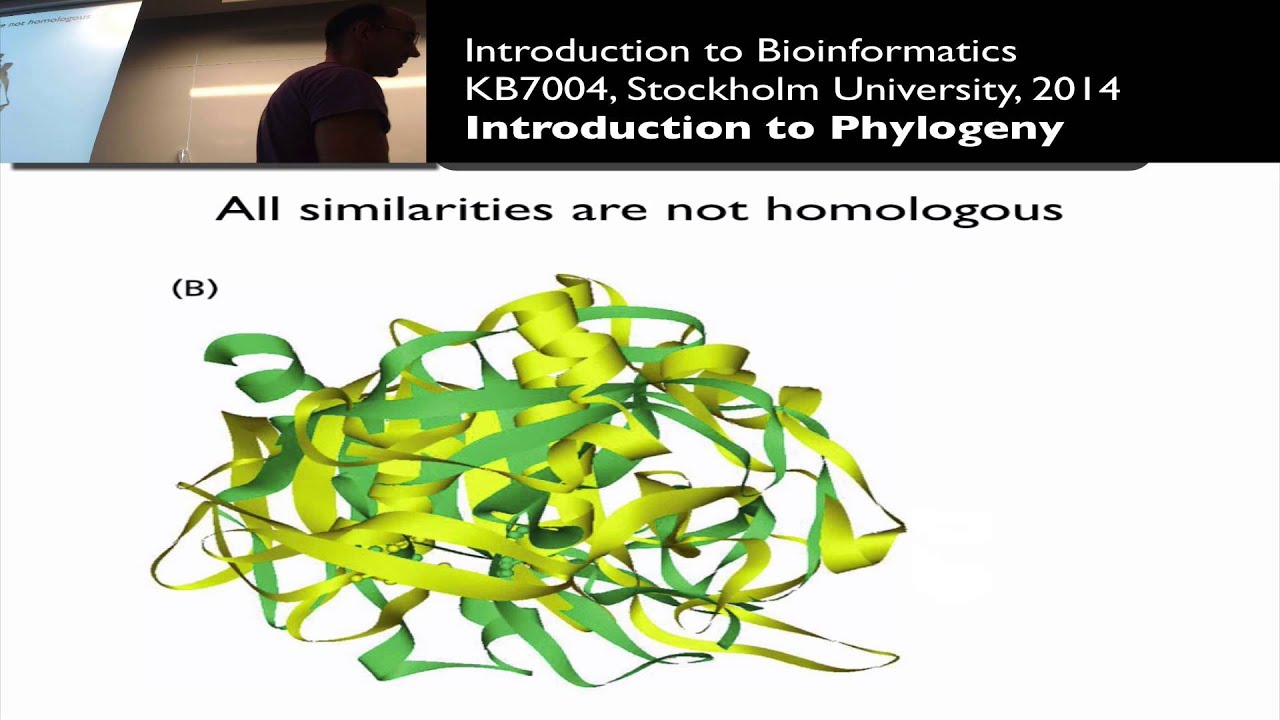 Introduction to Phylogeny and Evolution