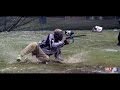 131 paintball hits in 4 minutes at  minor league paintball event 3