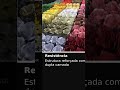 Forminhas Modelo Style para Doces Finos de Casamento