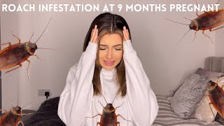 I moved into a cockroach infested flat (whilst pregnant) - Story time