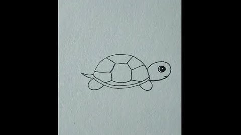 Dạy vẽ con rùa đơn giản