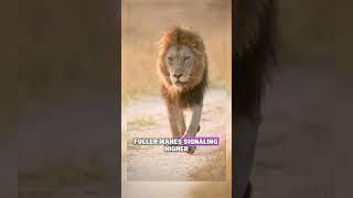 Animal Facts That Was Kept A Secret From You Because Of How Insane It Is