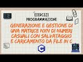 Esercizio su File E Matrici Di Numeri Casuali- Esercizi Linguaggio C
