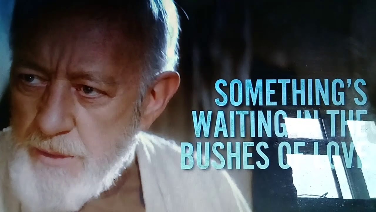 Bushes of love song YouTube