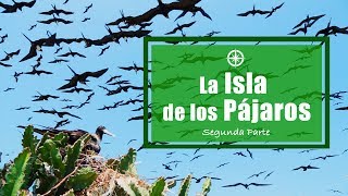 La Isla de los Pájaros (Segunda parte)