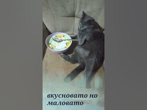 Давай мясо - YouTube