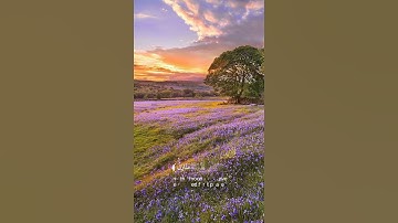 قرآن كريم  -  القارئ عبدالله القرني #اكسبلور #قرآن #قران_كريم #راحة_نفسية