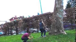 Friends Backflip off Tree