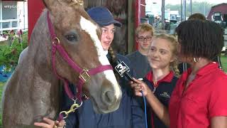Summit County 4H Program
