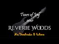 Tears of joy over reverie woods by ale  guihena