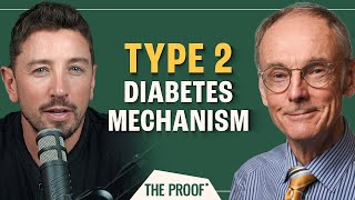 How Does Type 2 Diabetes Develop | The Twin Cycle Hypothesis | Roy Taylor | The Proof EP #287