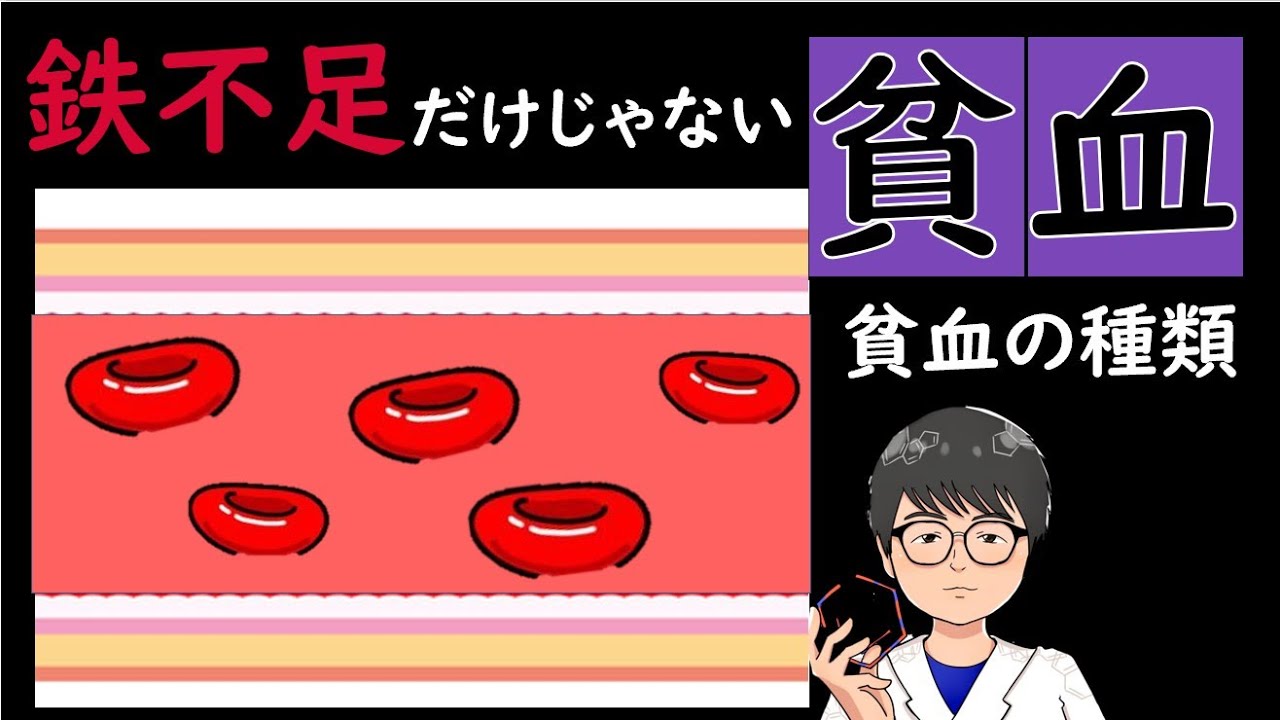 貧血は鉄不足だけじゃない！貧血の全てをお伝えします！