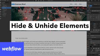How to hide / unhide things on Webflow website