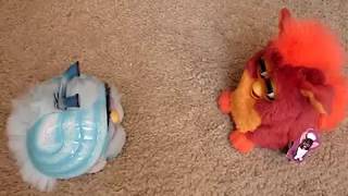 Sky Blue Shelby (Furby friend) and Rooster Furby Toh-Dye