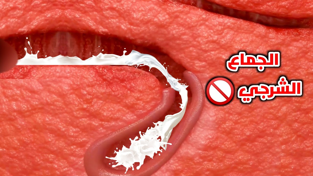 لهذا حرم الله الجماع في الدبر بين الرجل وزجتة_شاهد وقل (سبحان الله)