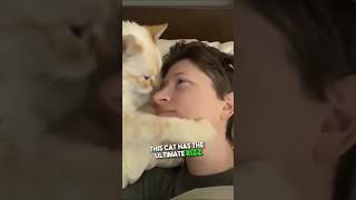 Cat Rizzes Up His Owner