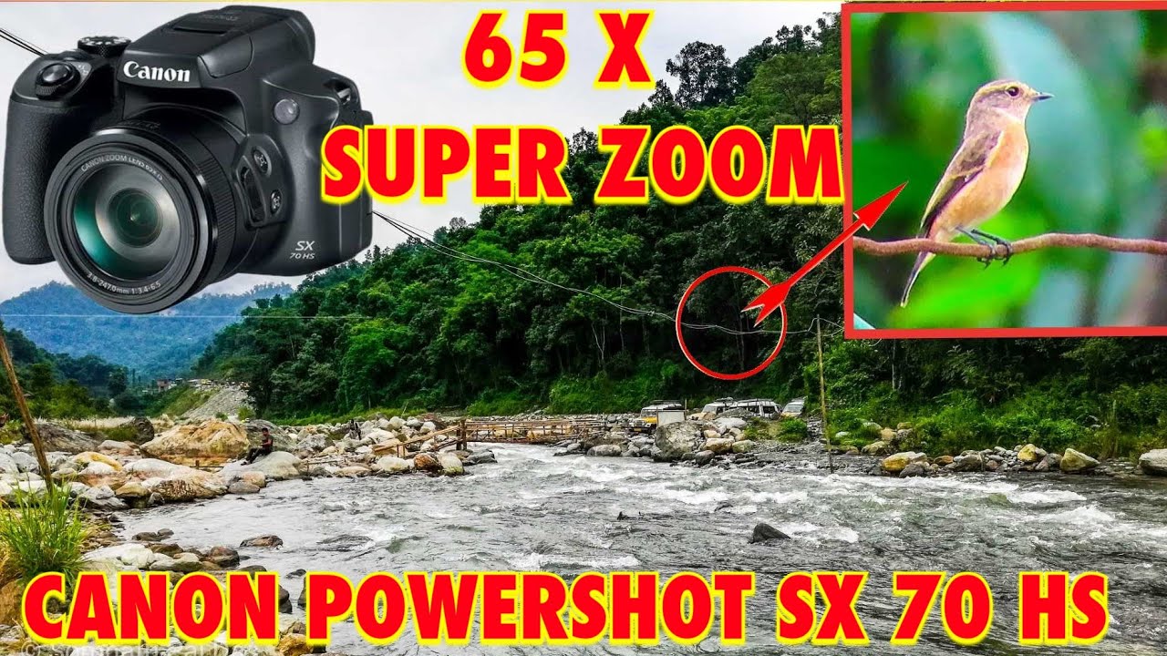 Canon Powershot SX  HS ZOOM TEST on Long distant BIRD   Extreme Zoom test  for Birding video   X